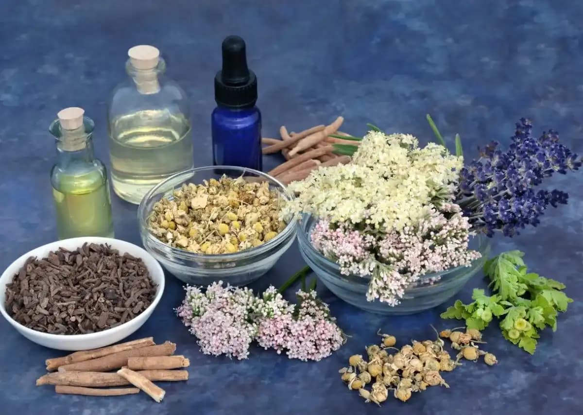 Cách xông nhà bằng thảo mộc đúng cách tại nhà